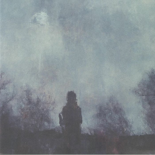 STRAY THEORIES - ALL THAT WAS LOST [LP]