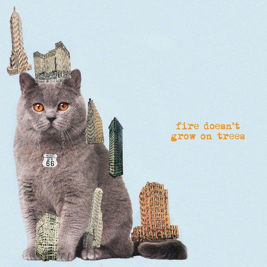 Brian Jonestown Massacre - Fire Doesn’t Grow On Trees [CD]