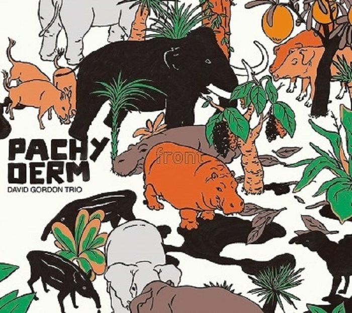 David Gordon Trio - Pachyderm [CD]