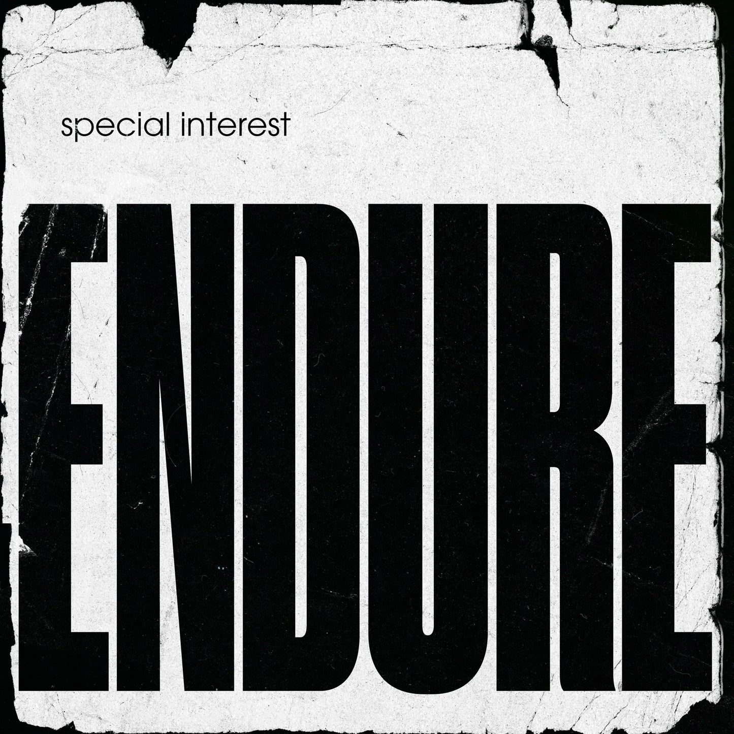 Special Interest - Endure [LP]