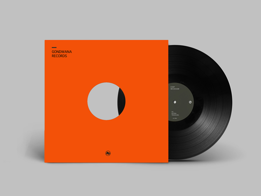 Chip Wickham - Astral Traveling