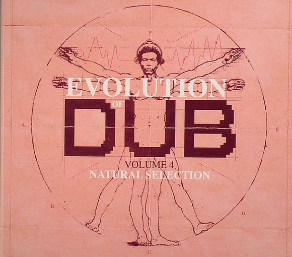 JOE GIBBS AND THE PROFESSIONAL - EVOLUTION OF DUB VOL. 4 [CD]