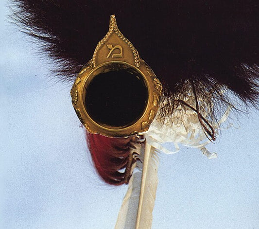 John Zorn - New Masada Quartet