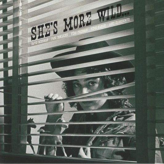 David BEHRMAN / PAUL DeMARINIS / FERN FRIEDMAN / TERRI HANLON / ANNE KLINGENSMITH - SHES MORE WILD...