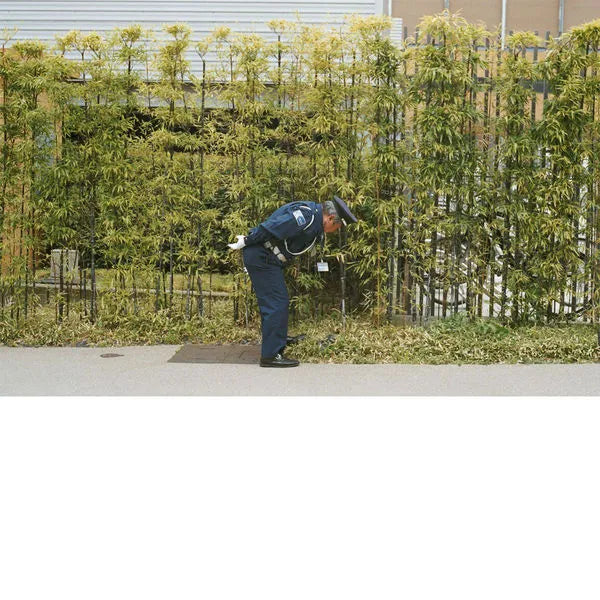 Gold Panda - Good Luck And Do Your Best [Light Green Coloured Vinyl]