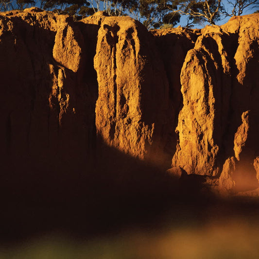 The Shaolin Afronauts - The Fundamental Nature of Being, Part Three [CD]