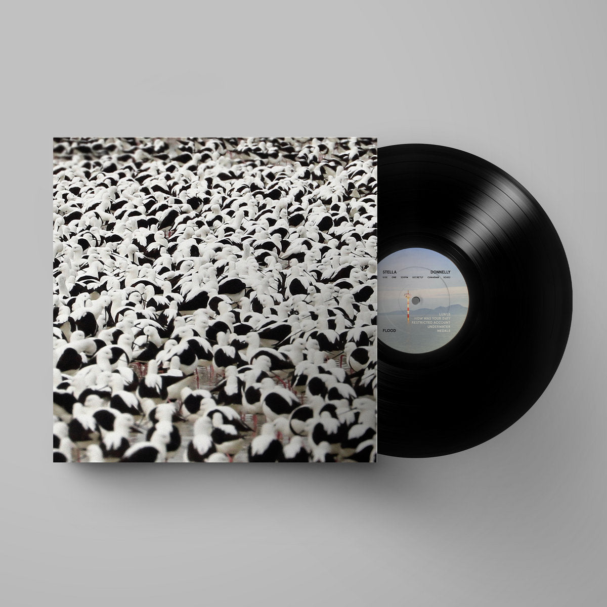 Stella Donnelly - Flood [LP]