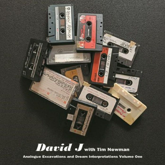 David J w/ Tim Newman - Analogue Excavations & Dream Interpretations Vol 1 [Tangerine Vinyl]