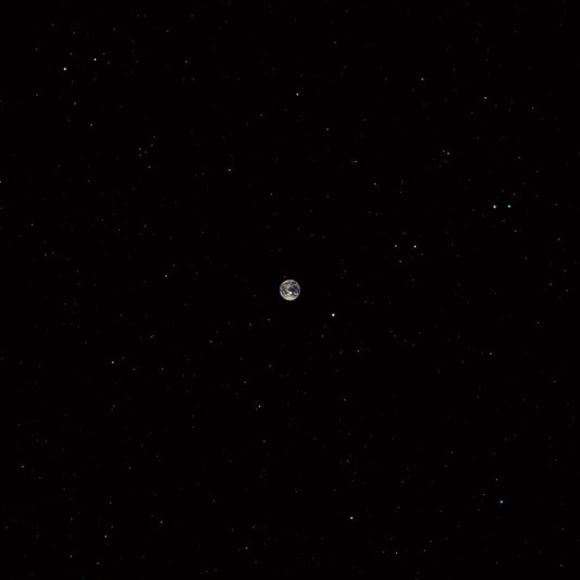 MARC RIBOTS CERAMIC DOG - HOPE (RSD 2021)