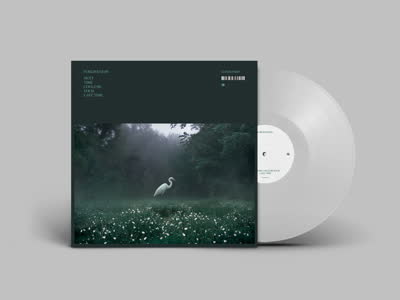 Forgiveness - Next Time Could Be Your Last Time [Clear Vinyl]