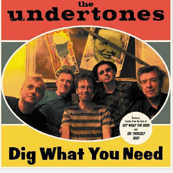 THE UNDERTONES - DIG WHAT YOU NEED [CD]