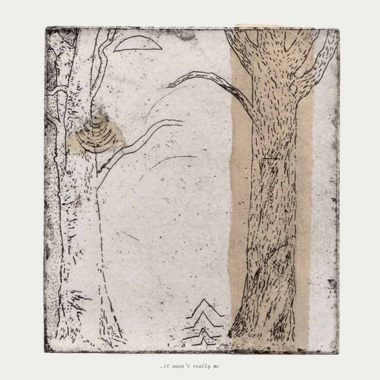 Various Artists - It Wasnt Really Me