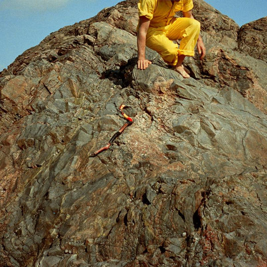 Roddy Woomble - Lo! Soul [CD]