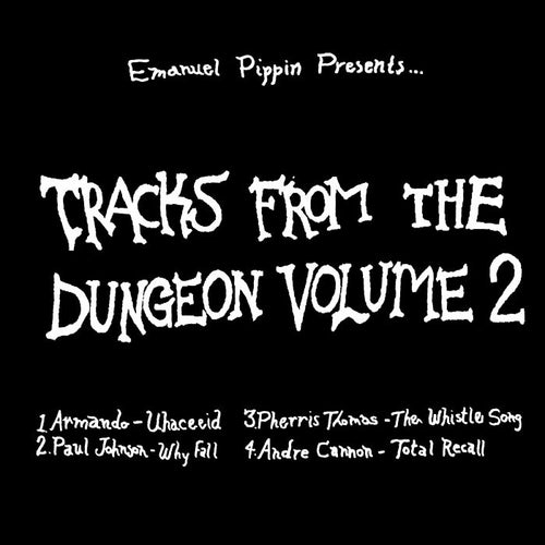VARIOUS ARTISTS - TRACKS FROM THE DUNGEON VOL.2