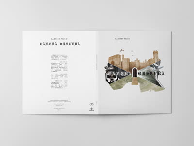 Karsten Pflum - Camera Obscura [LP]