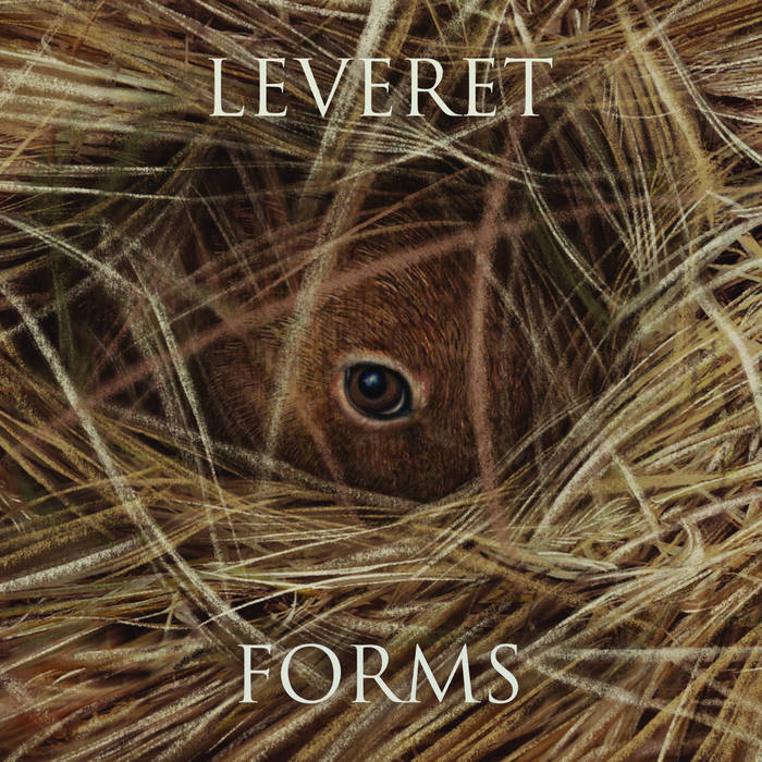 Leveret - Forms [CD]