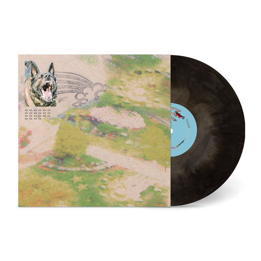 Feeble Little Horse - Girl With Fish [Grey Galaxy Vinyl]