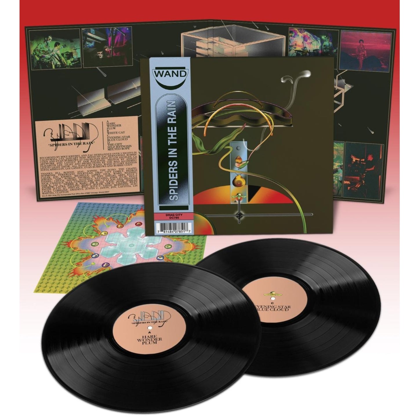 Wand - Spiders In The Rain [2LP]