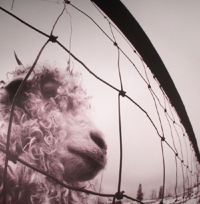 Pearl Jam - Vs. (1LP/Gat)