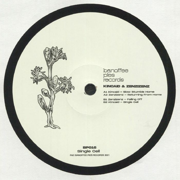 KINCAID / ZENZIZENZ - Single Cell