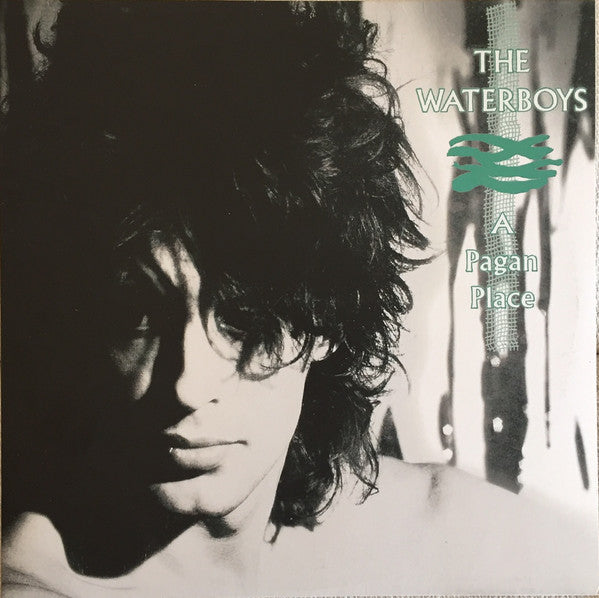 THE WATERBOYS - A PAGAN PLACE