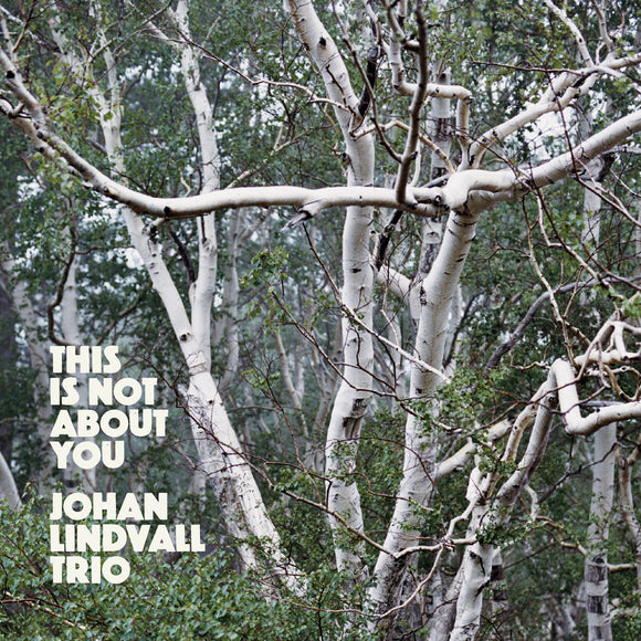 Johan Lindvall Trio - This Is Not About You