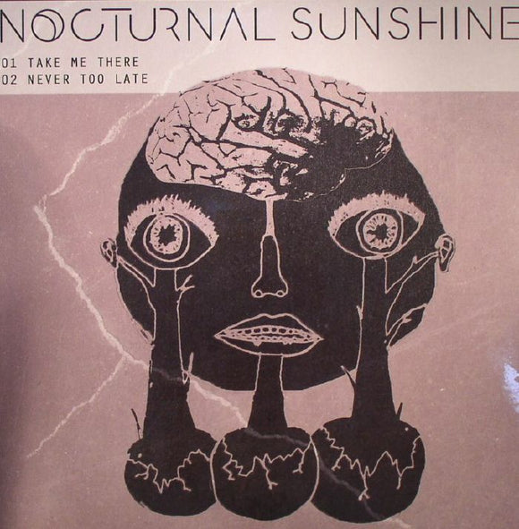 NOCTURNAL SUNSHINE - TAKE ME THERE (RSD 2015)
