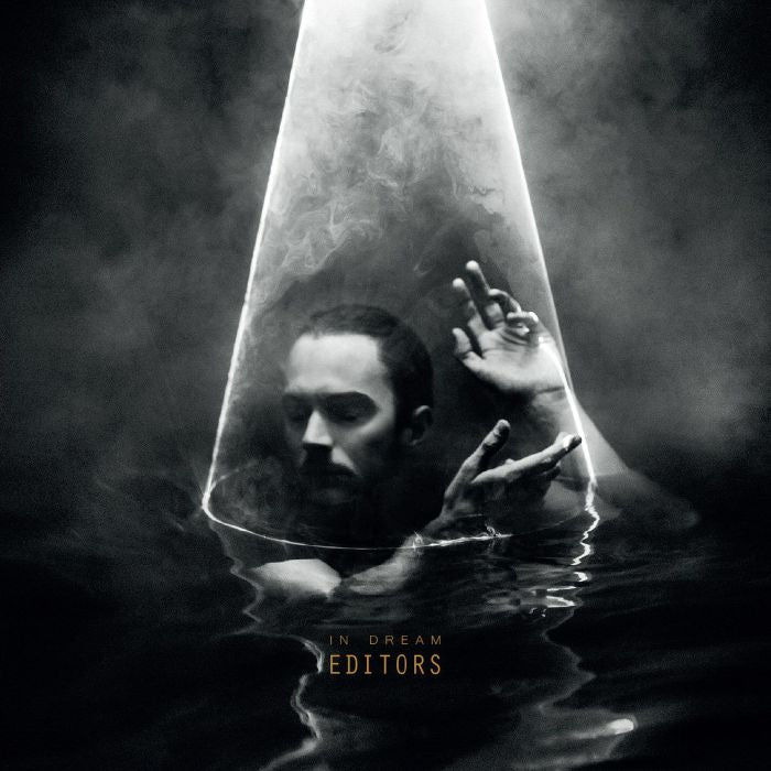 EDITORS - In Dream (Love Record Stores 2021)