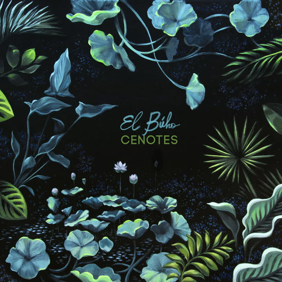 El Búho - Cenotes