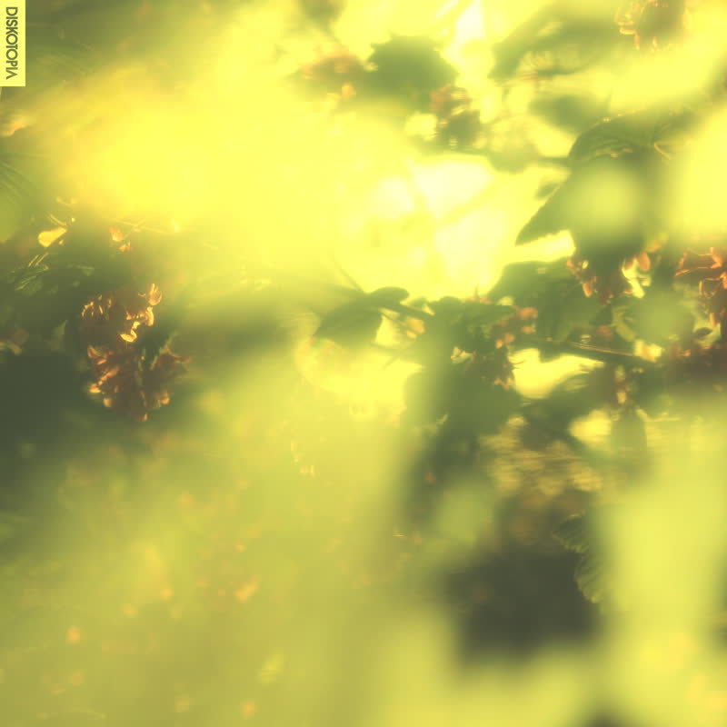 Hyetal - States [CD]