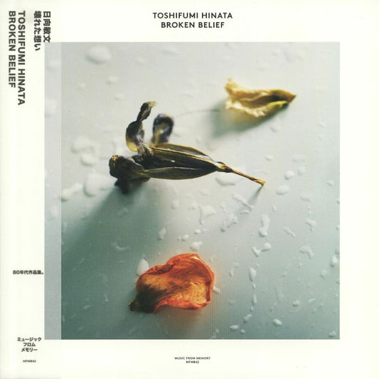 TOSHIFUMI HINATA - BROKEN BELIEF