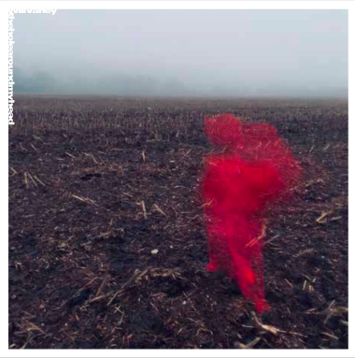 Will Varley - The Hole Around My Head [CDX]