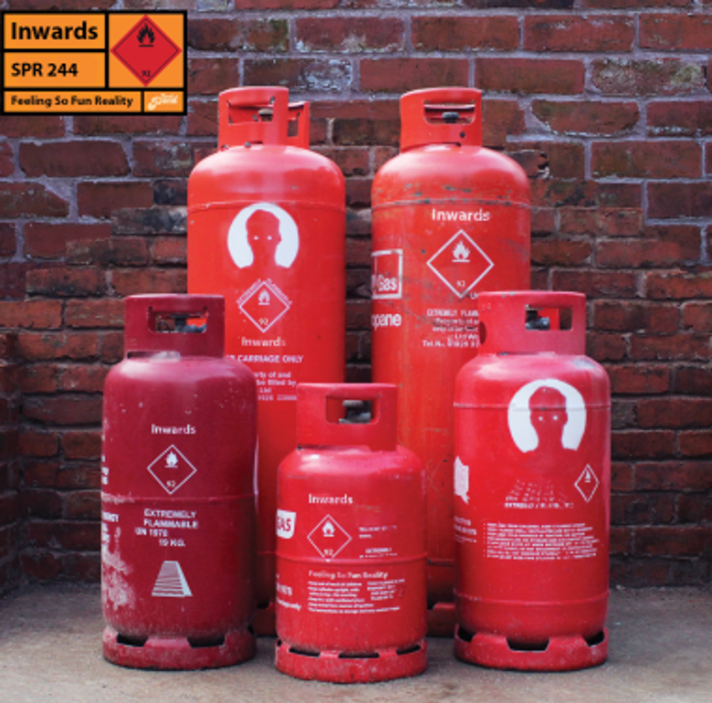 Inwards - Feeling So Fun Reality [CD]