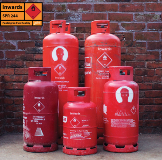 Inwards - Feeling So Fun Reality [CD]