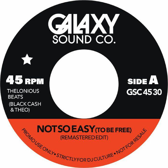 THELONIOUS BEATS aka BLACK CASH & THEO - Not So Easy (To Be Free)