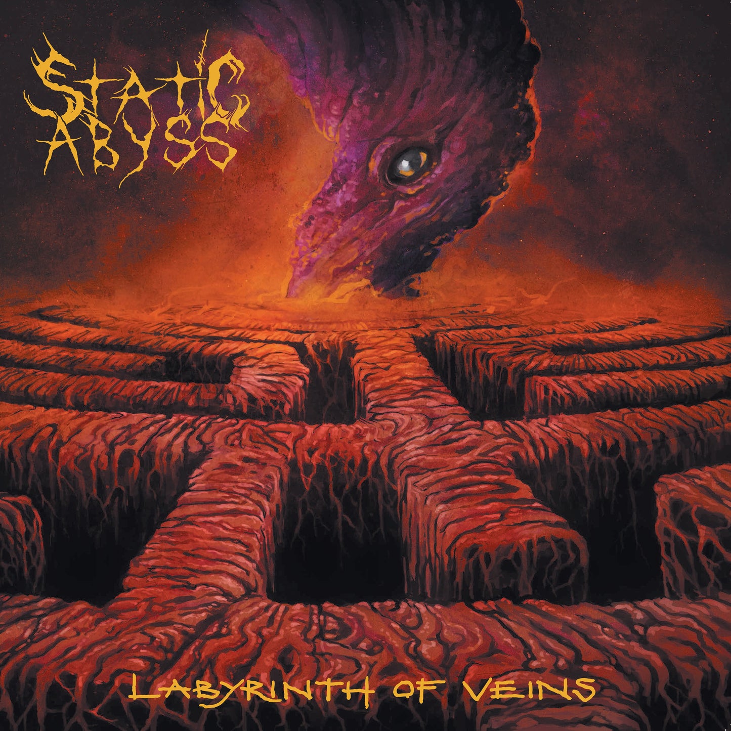 Static Abyss - Labyrinth Of Veins [LP]
