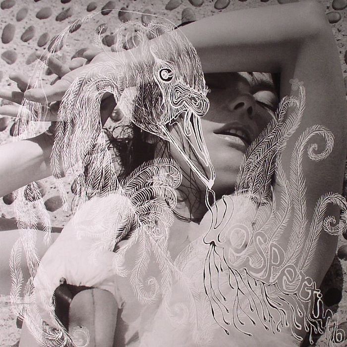 Bjork - Vespertine [2LP]