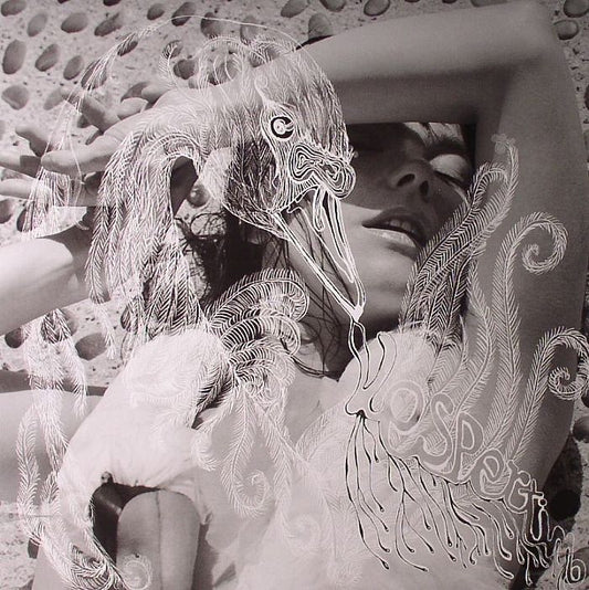 Bjork - Vespertine [2LP]