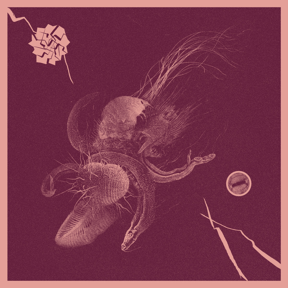 Aaron Turner & Jon Mueller - Now That You've Found It