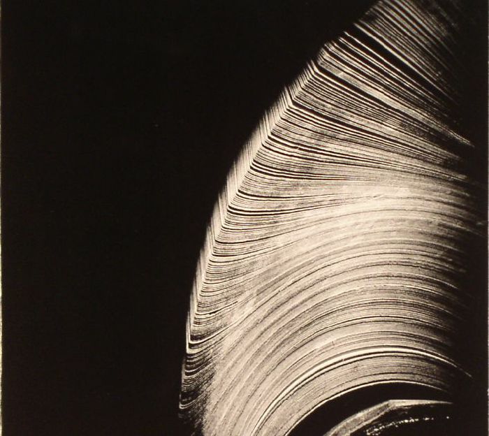 NEAR THE PARENTHESIS - HELICAL [LP]