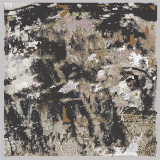 Loraine James - Building Something Beautiful For Me [Clear Vinyl]