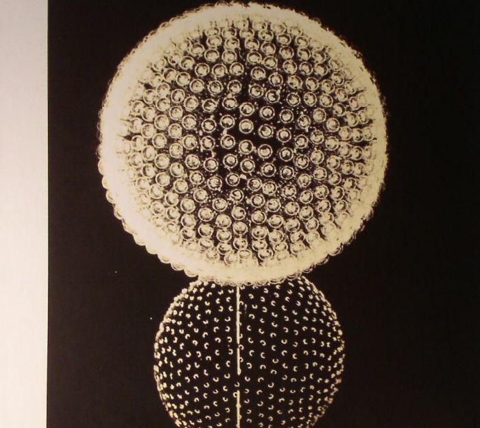 Linkwood - Expressions [CD]