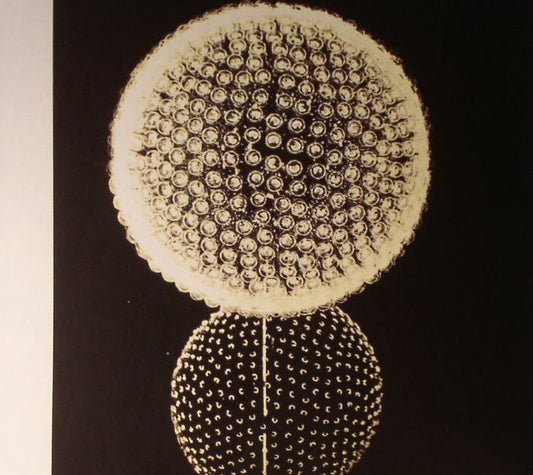 Linkwood - Expressions [CD]