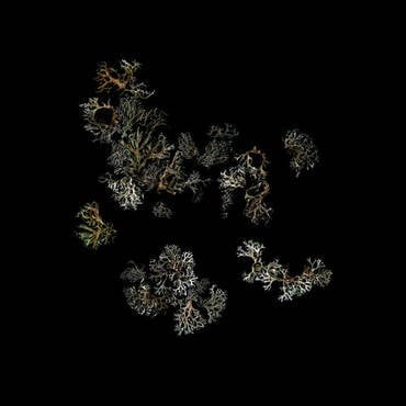 Deathcrash – Return