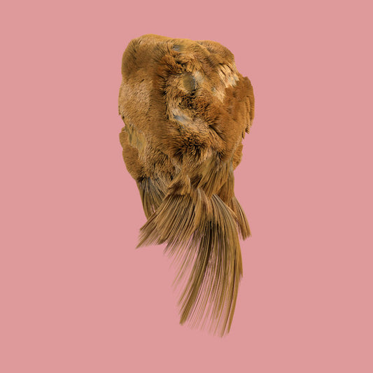 HOLY FAMILY - VALUES [CD]