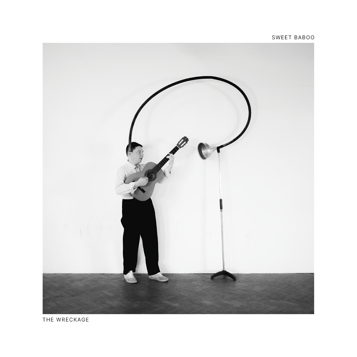 Sweet Baboo - The Wreckage [CD]