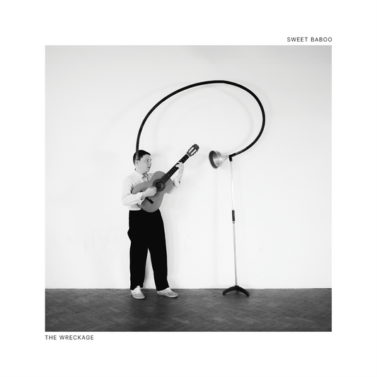 Sweet Baboo - The Wreckage [CD]