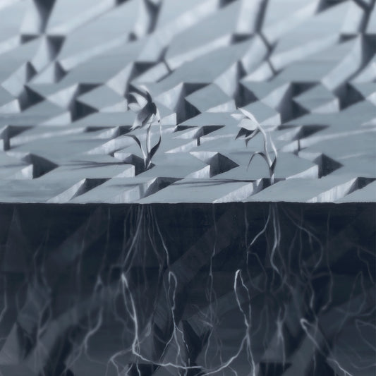 Viktor Timofeev - Exocursion