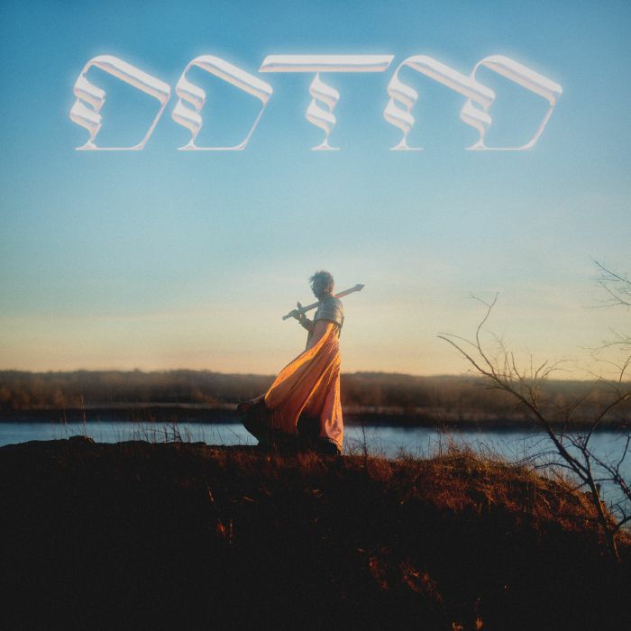 Foxing - Draw Down The Moon [LP]