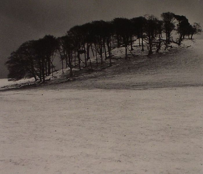 LAST DAYS - SATELLITE